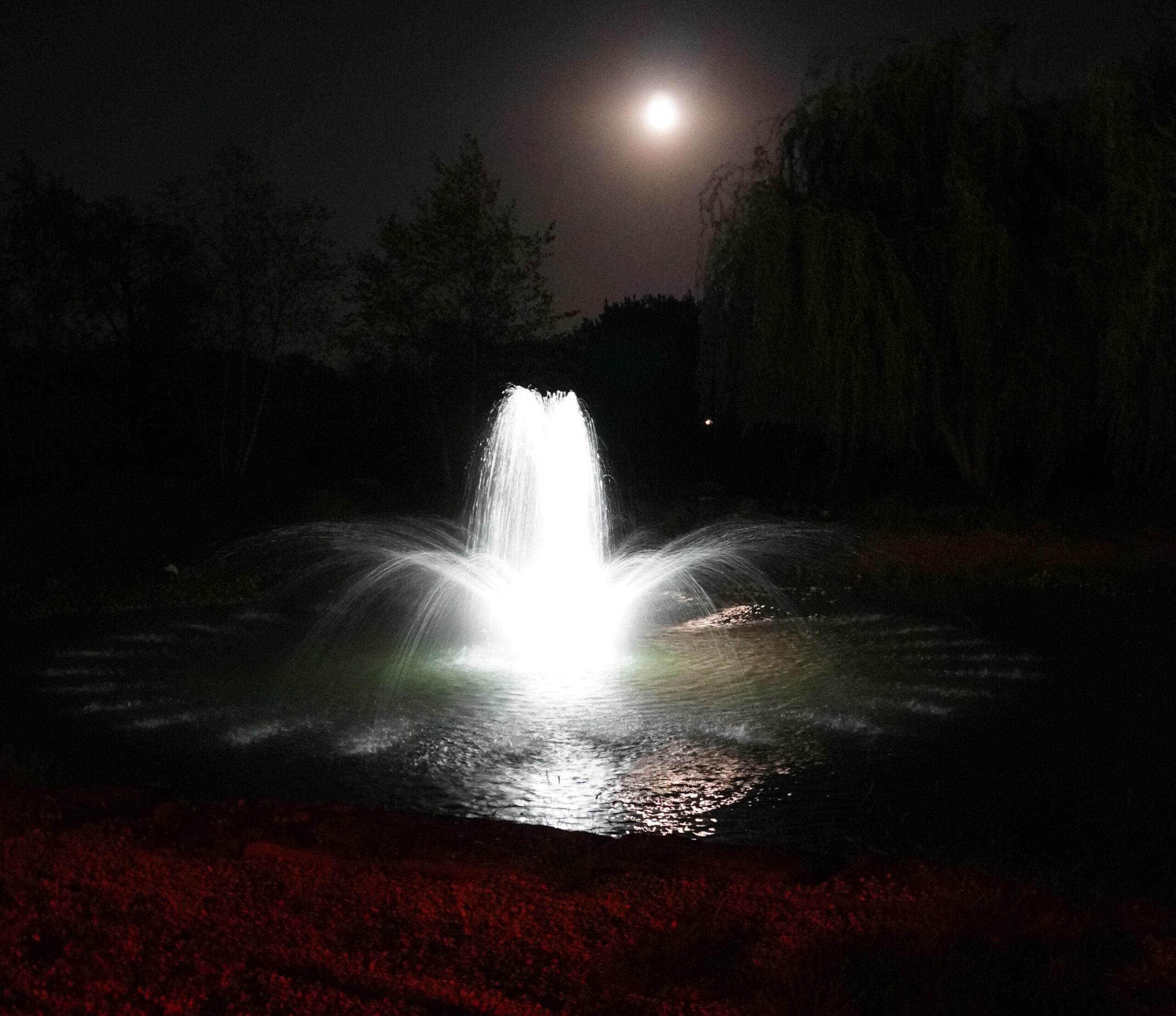 Swan’s Water Gardens - Lake Management Services