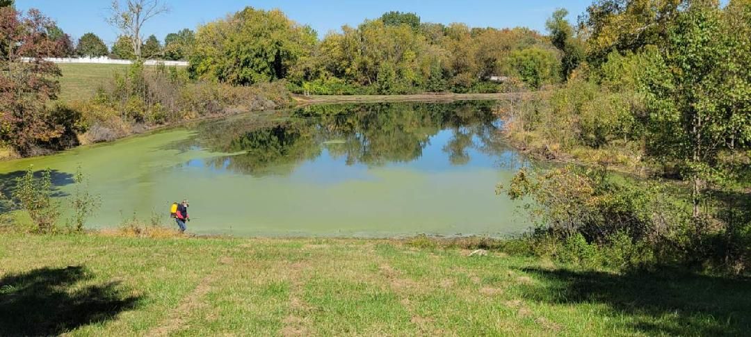 Lake Treatment Services - Swan’s Water Gardens