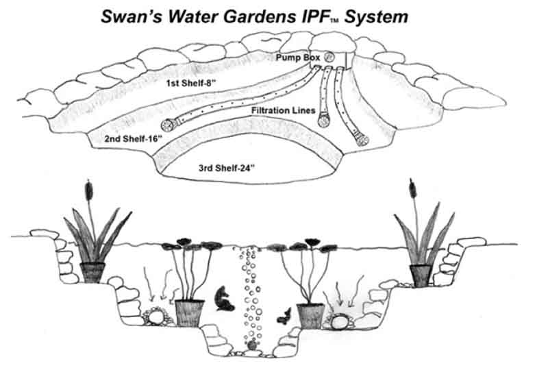 Our Filtration System - Swan Water Gardens 
