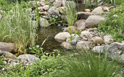 Leak or Evaporation?