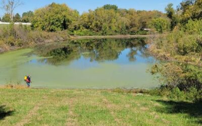 Pond and Lake Management