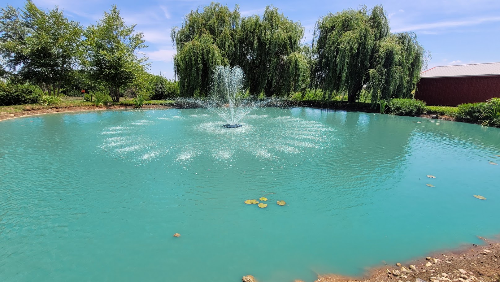 Swan’s Water Gardens - Lake Management Services