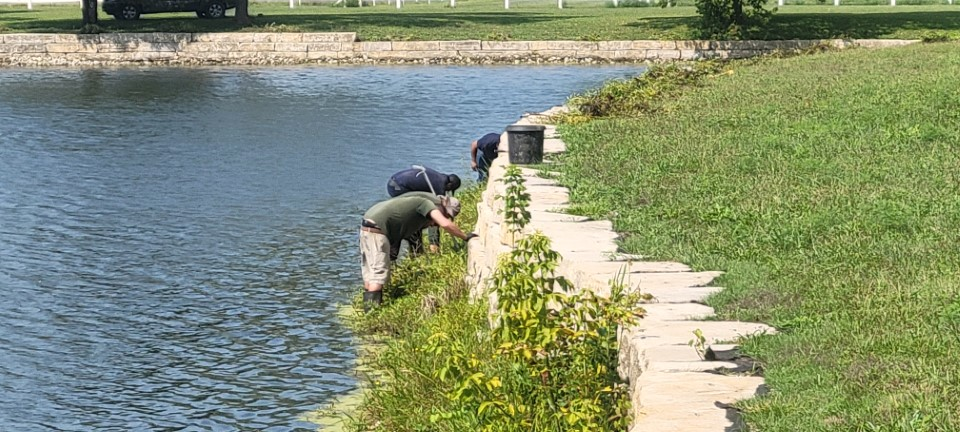 Swan’s Water Gardens - Lake Management Services
